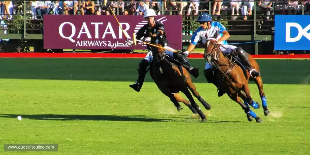 从赛场到屏幕,用热爱连接世界!🌐❤️